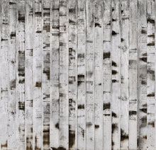 R15221 Metal Birch Home Mural by Rebel Walls