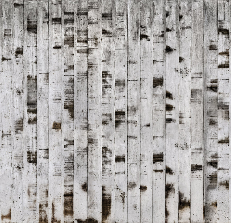 R15221 Metal Birch Home Mural by Rebel Walls