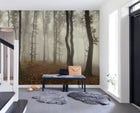R15281 Timberland Home Mural by Rebel Walls