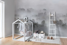 R15301 Morning Fog Home Mural by Rebel Walls