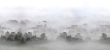 R15301 Morning Fog Home Mural by Rebel Walls