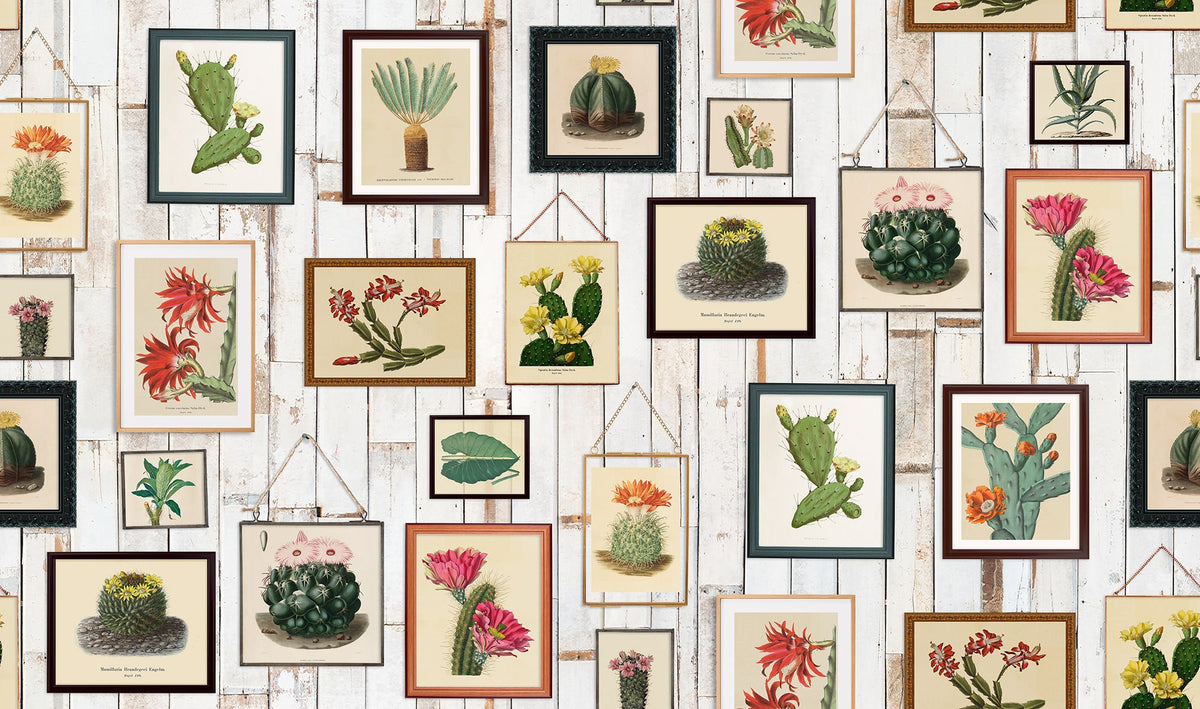 R15321 Cactus Wall Art Home Mural by Rebel Walls