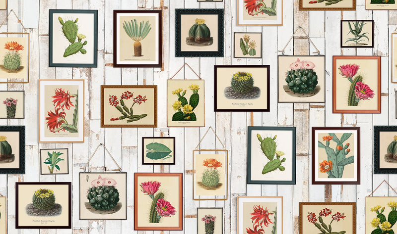 R15321 Cactus Wall Art Home Mural by Rebel Walls