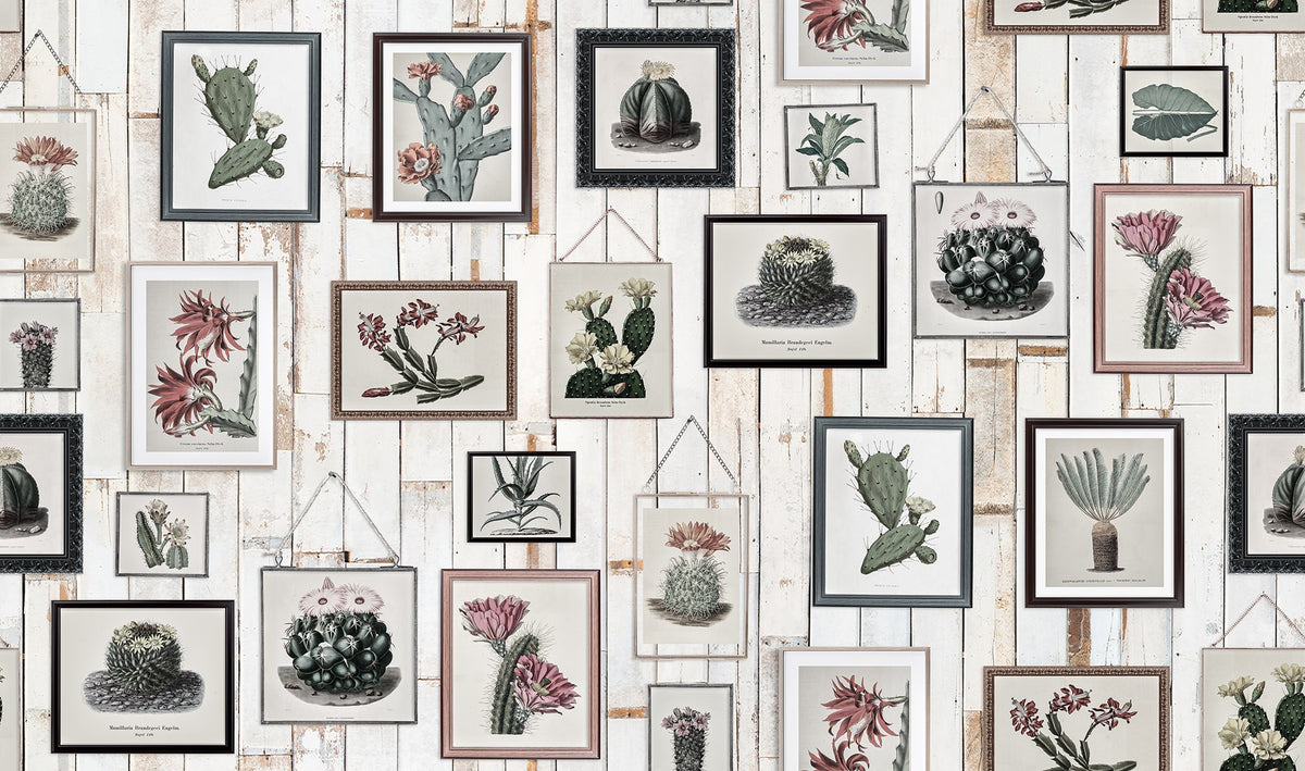 R15322 Cactus Wall Art Faded Home Mural by Rebel Walls