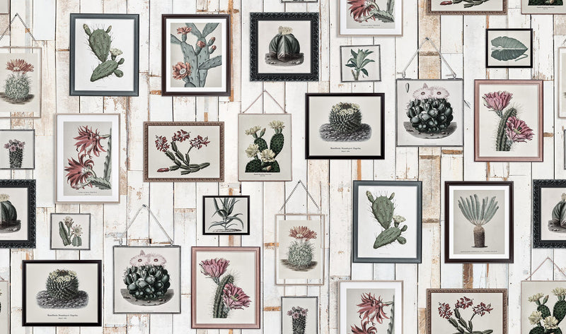 R15322 Cactus Wall Art Faded Home Mural by Rebel Walls