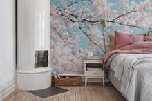 R15541 Cherry Tree Palette Mural by Rebel Walls