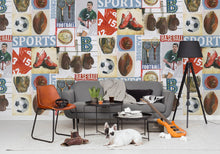 R15561 Sports Junkie Palette Mural by Rebel Walls