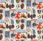 R15561 Sports Junkie Palette Mural by Rebel Walls