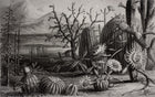 R15741 Cactus Garden Flora Maxima Mural by Rebel Walls