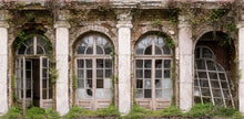 R16031 Ruin Romance Bouquet Mural by Rebel Walls