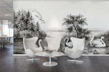 R16221 Swan Lake Deco Mural by Rebel Walls