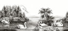 R16221 Swan Lake Deco Mural by Rebel Walls