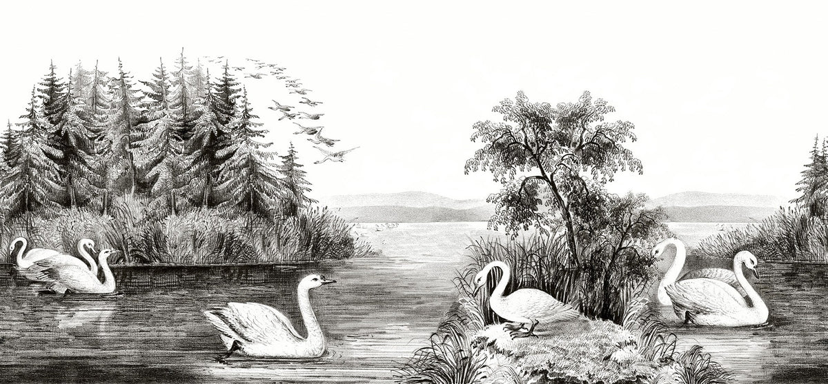 R16221 Swan Lake Deco Mural by Rebel Walls
