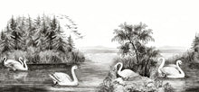 R16221 Swan Lake Deco Mural by Rebel Walls