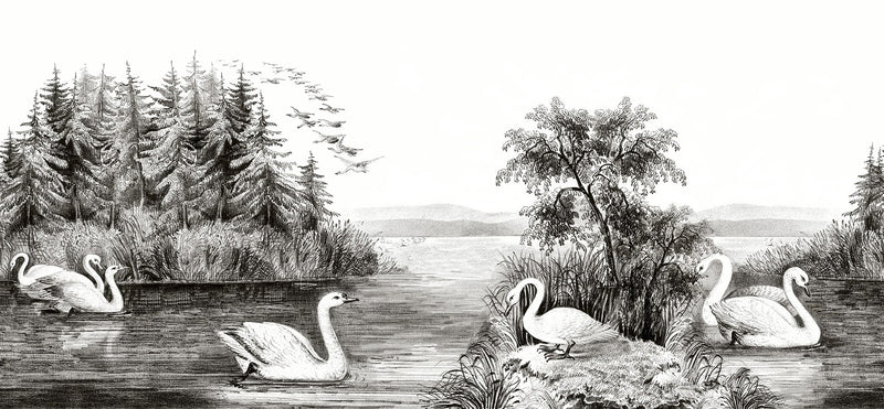 R16221 Swan Lake Deco Mural by Rebel Walls