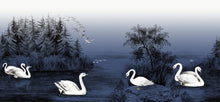 R16222 Swan Lake Nightfall Deco Mural by Rebel Walls