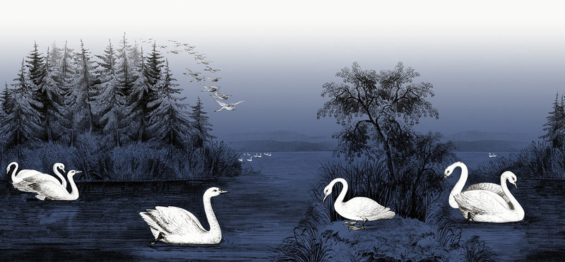 R16222 Swan Lake Nightfall Deco Mural by Rebel Walls