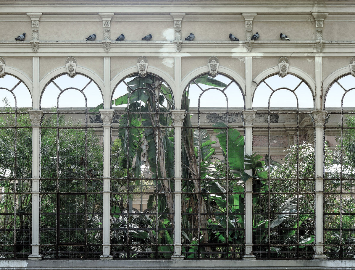 R16261 Dove Gardens Scenery Mural by Rebel Walls