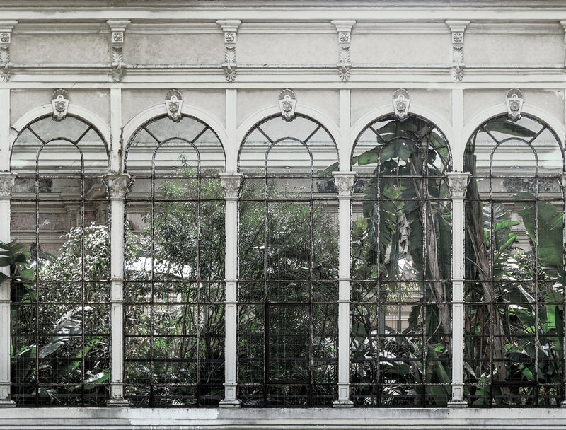 R16262 Dove Gardens White Scenery Mural by Rebel Walls