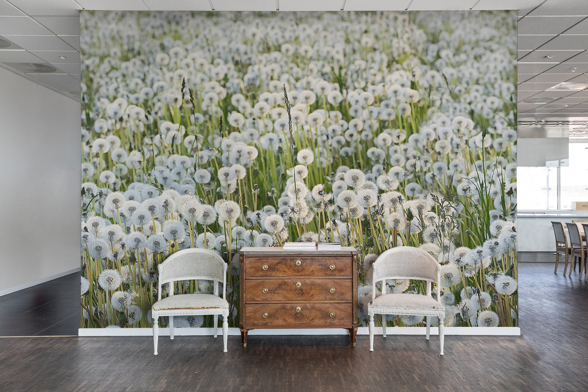 R16351 Dandelions Scandinavia Mural by Rebel Walls