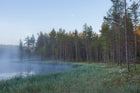R16421 Forest Lake Scandinavia Mural by Rebel Walls