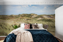 R16511 The Wind Scandinavia Mural by Rebel Walls