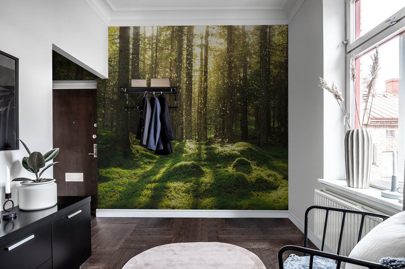 R16641 Forest Bath Scandinavia Mural by Rebel Walls