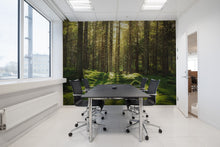 R16641 Forest Bath Scandinavia Mural by Rebel Walls