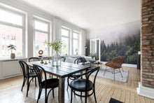 R16731 Misty Fir Forest Pops Mural by Rebel Walls
