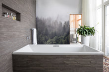 R16731 Misty Fir Forest Pops Mural by Rebel Walls