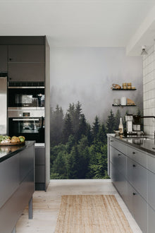 R16731 Misty Fir Forest Pops Mural by Rebel Walls