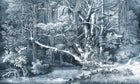 R16852 Secret Well Frost Play Mural by Rebel Walls