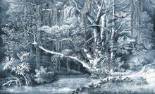 R16852 Secret Well Frost Play Mural by Rebel Walls