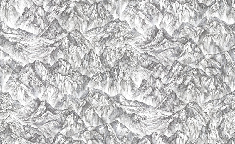 R16892 Moon Rock Surface Play Mural by Rebel Walls