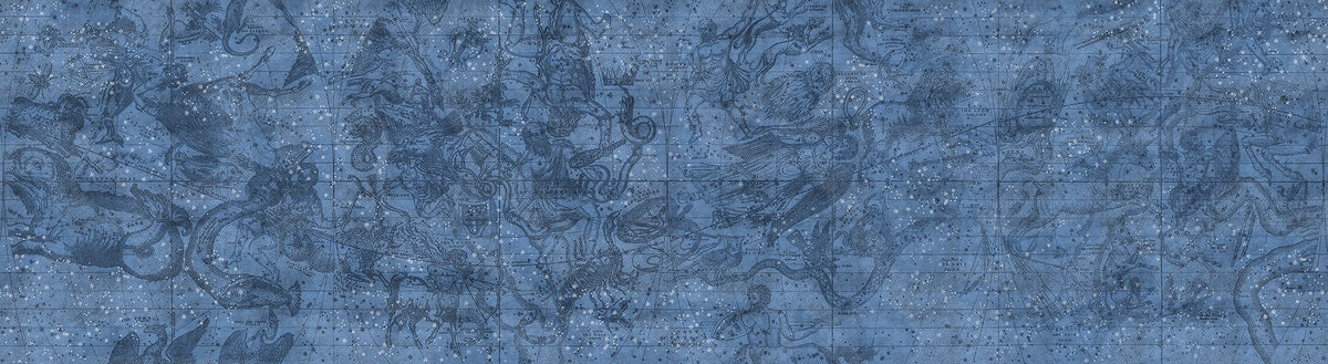 R16921 Star Map Play Mural by Rebel Walls