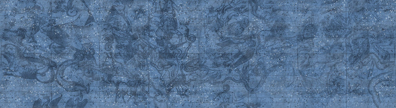 R16921 Star Map Play Mural by Rebel Walls