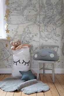 R16922 Star Map White Play Mural by Rebel Walls