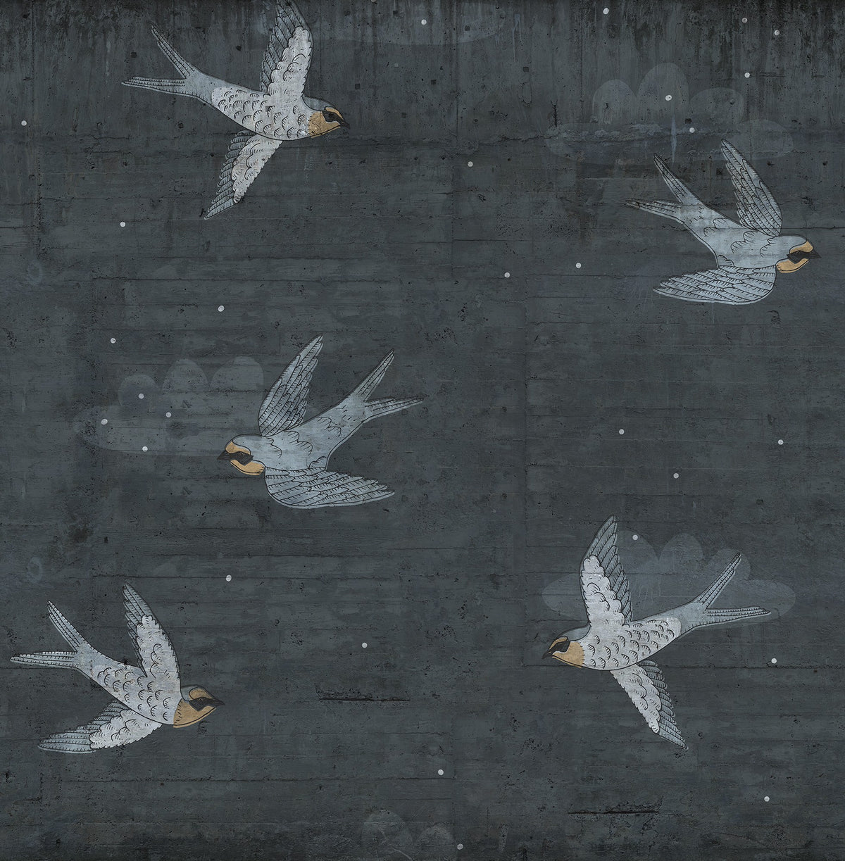 R16972 Concrete Art Night Swallow Play Mural by Rebel Walls