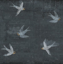 R16972 Concrete Art Night Swallow Play Mural by Rebel Walls