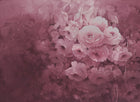 R17071 Harmony Fuchsia Re:Create Mural by Rebel Walls