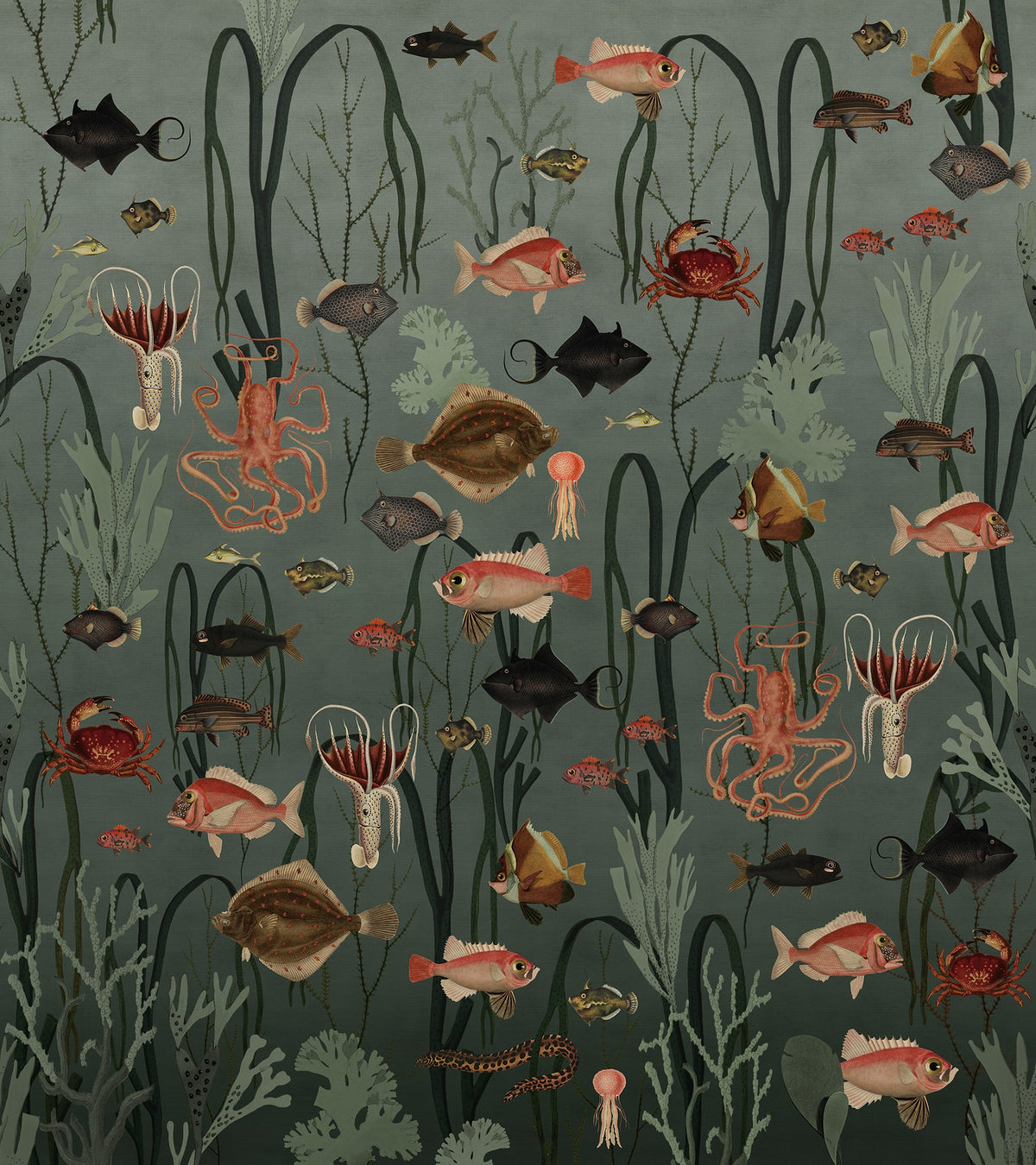 R17141 Aquatic Life Oxygen Moss & Coral Mural by Rebel Walls