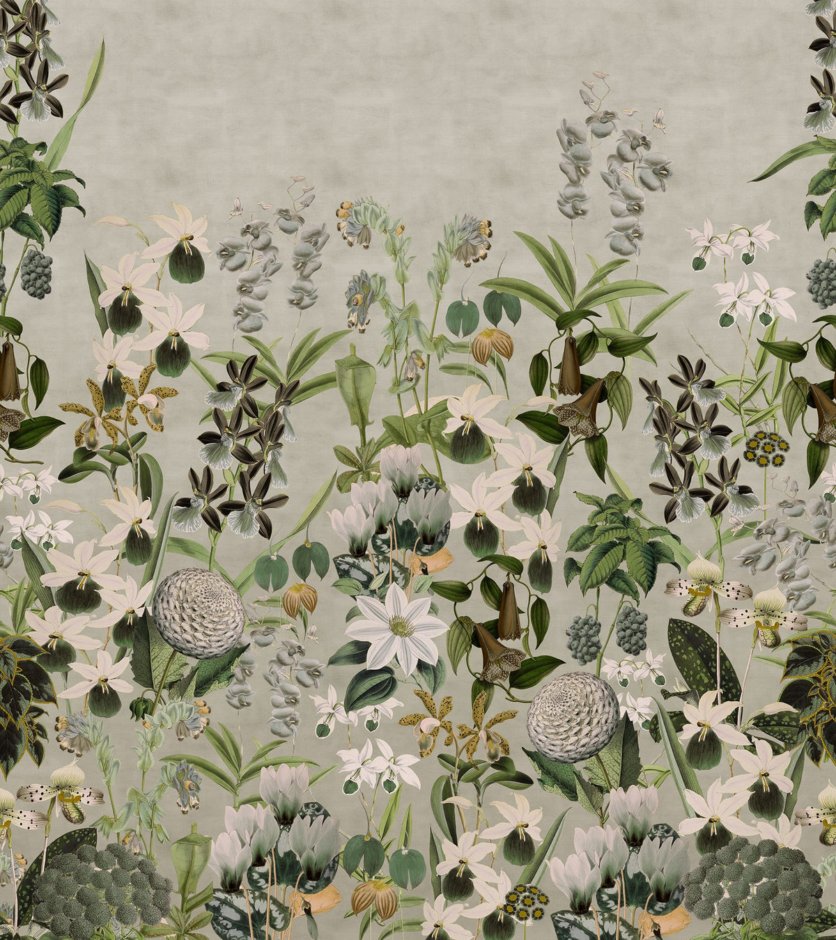 R17162 Alices Garden Dusk Moss & Coral Mural by Rebel Walls
