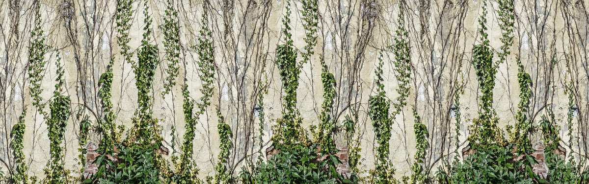 R17191 Climbing Ivy Well-Being Mural by Rebel Walls