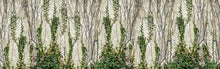 R17191 Climbing Ivy Well-Being Mural by Rebel Walls