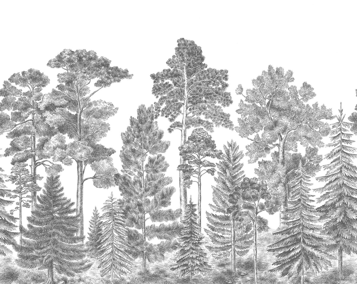 R17201 Scandinavian Bellewood Gray Pops Mural by Rebel Walls