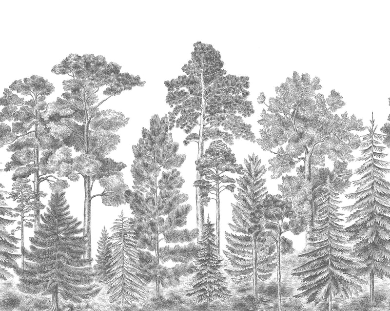 R17201 Scandinavian Bellewood Gray Pops Mural by Rebel Walls