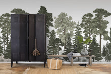 R17204 Scandinavian Bellewood Pops Mural by Rebel Walls