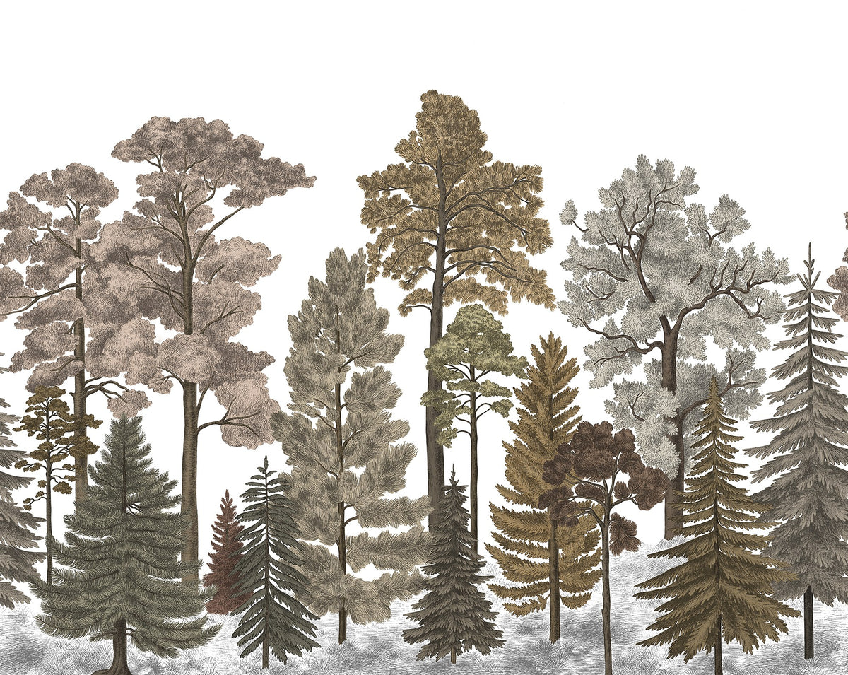 R17205 Scandinavian Bellewood Fall Pops Mural by Rebel Walls
