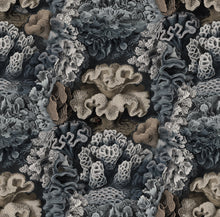R17483 Aquila Teal Oddity Wallpaper by Rebel Walls