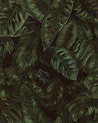 R17581 Cameroon Fern Oddity Wallpaper by Rebel Walls